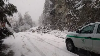 Cortan la Ruta 71 en el Parque Nacional Los Alerces por derrumbe 