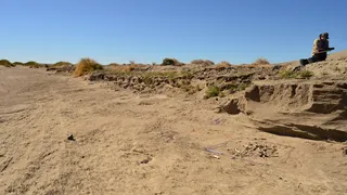 Descubren en Chubut restos arqueológicos de un perro utilizado como animal de carga